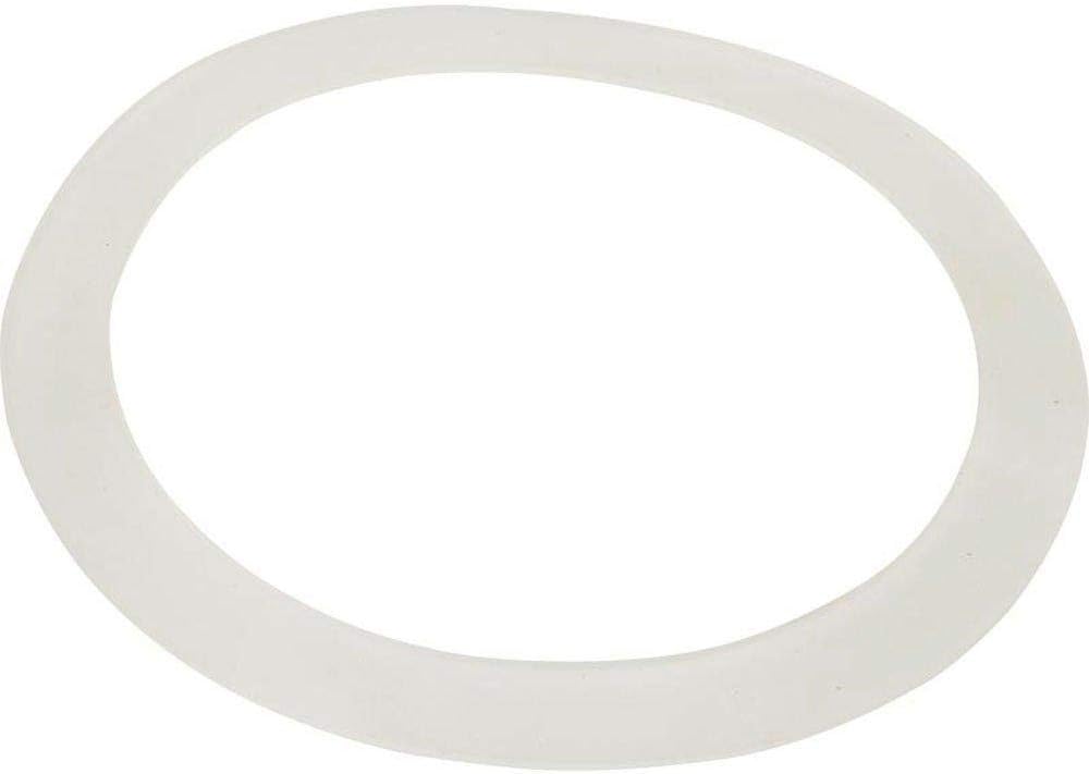 Waterway Plastics Gasket, for Old Faithful Jets | 711-7300
