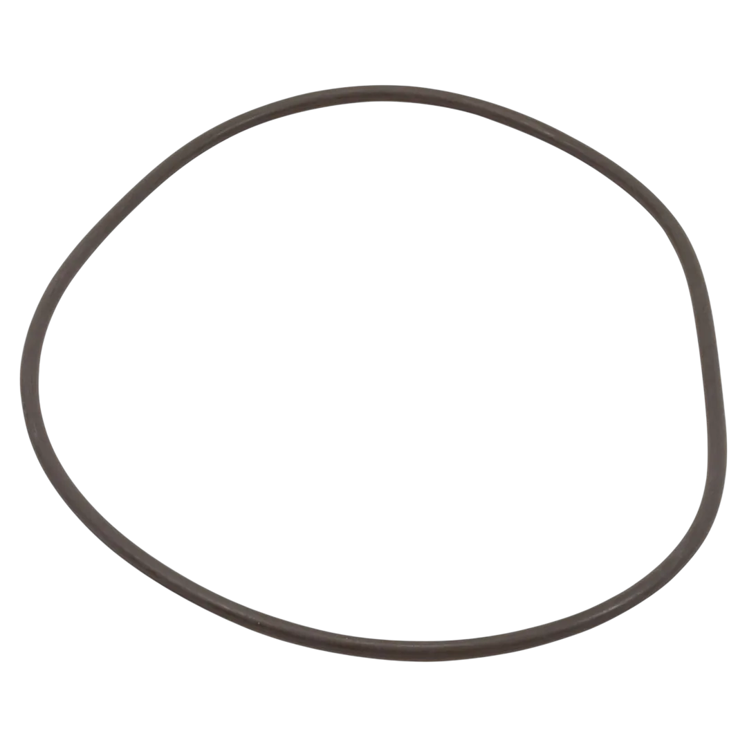 Waterway Pro Clean Plus Lid O-Ring 805-0448B