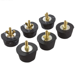 Paramount 2" Valve Winter Plug Pack of 6, 004302167200
