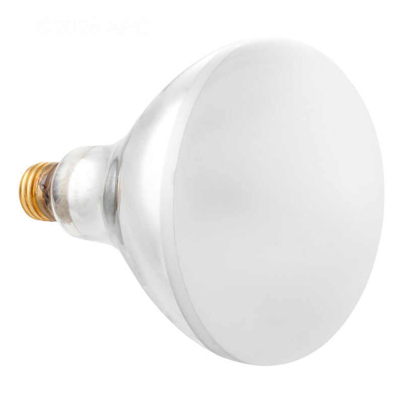 APC 500W 120V R40 Medium-Base Pool Light Bulb APC120500M