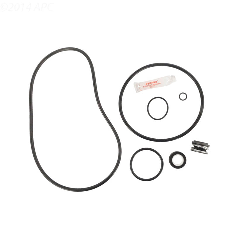 APC Sta-Rite Max-E-Pro Pump Seal Repair Kit APCK1185 GO-KIT79