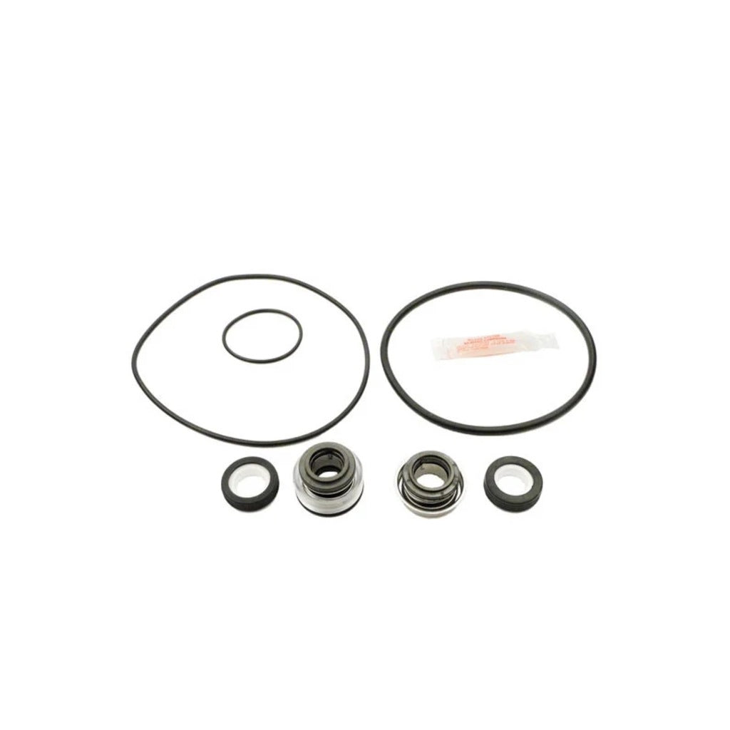 Aladdin Pump Repair Kit, for Hayward PowerFlo 1700 | GO-KIT13