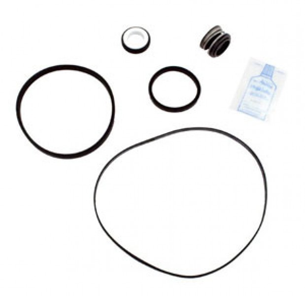 Hayward Max Flo Tune Up Kit (GOKIT1)