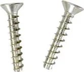 Hayward Main Drain Screw Set | SPX1030Z1A