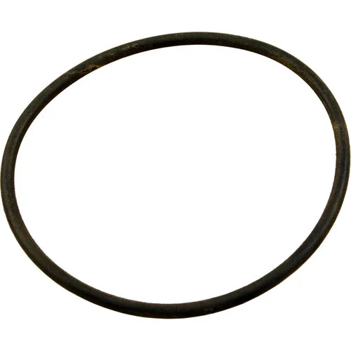 Hayward Swimclear Oring | DEX360M