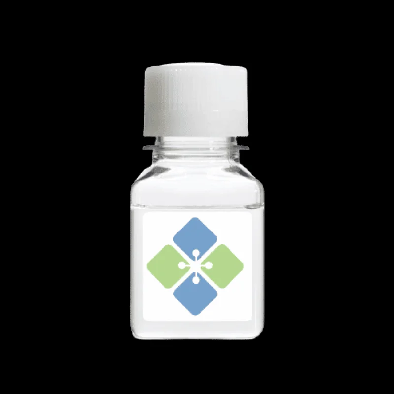 Human AKAP7 Protein (Highly Pure)
