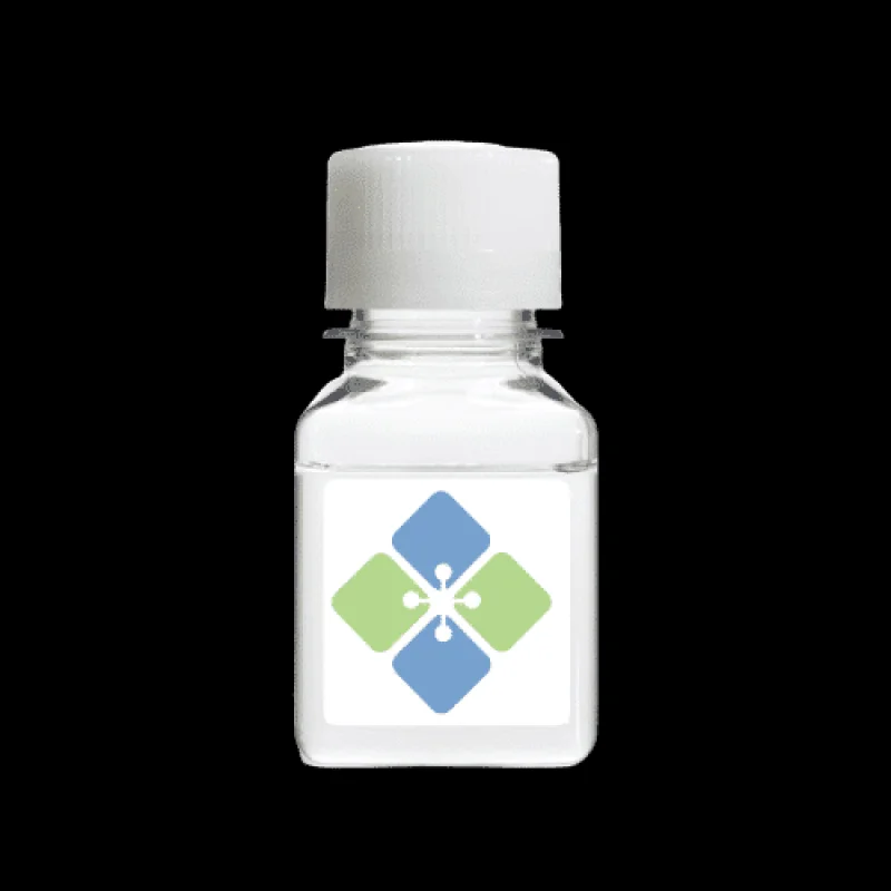 Human TAPA-1/CD81 Extracellular Domain