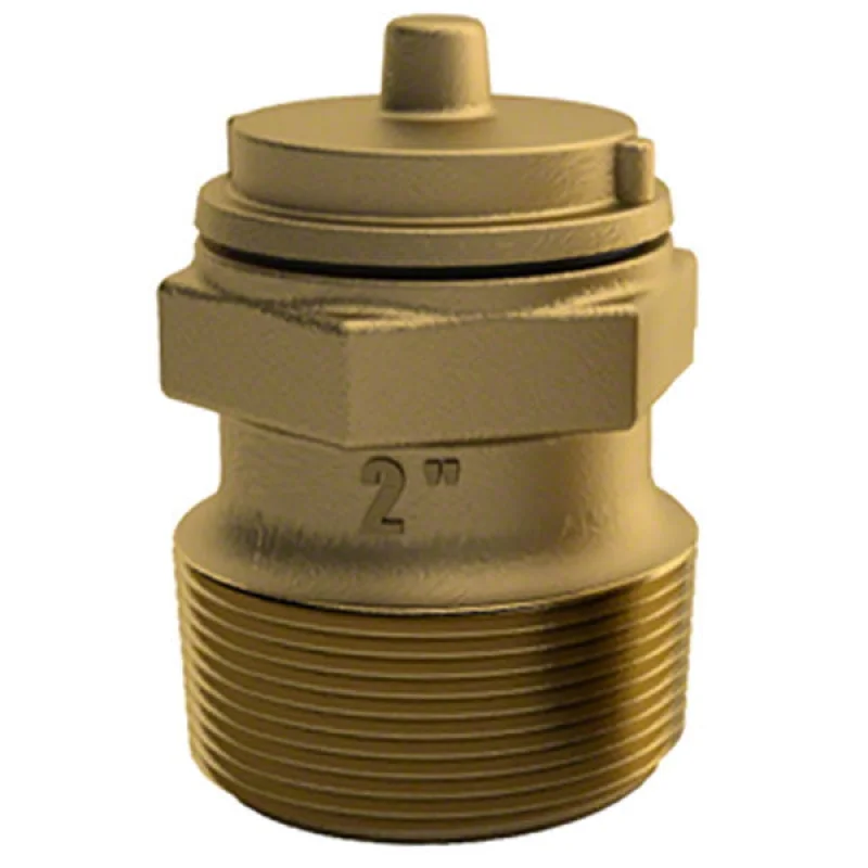 Hydrostatic Relief Valve - Bronze - 2 Inch Threaded
