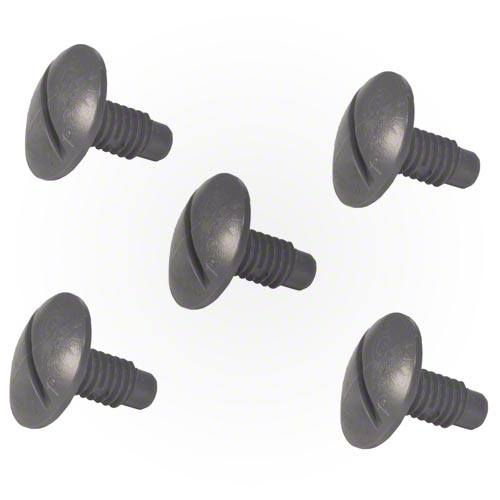 Pentair Wheel Screws 5Pk LLC55PM