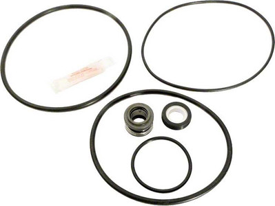 Pump O-Ring Repair Kit, APCK1042