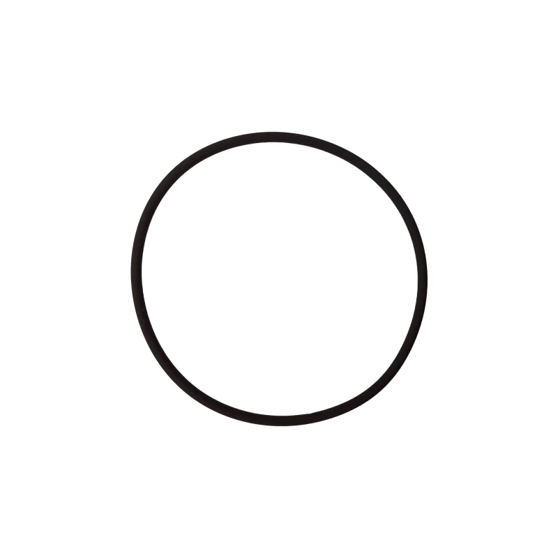 O-232V-Bagged Gasket | Model O-232V-0
