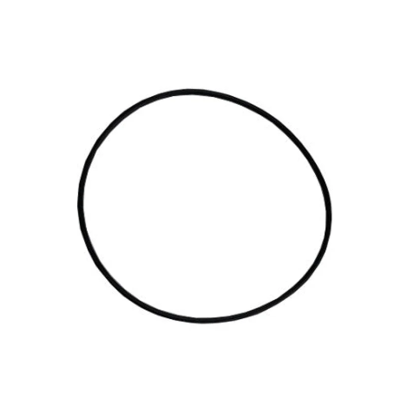 O'RING: QB/LX/XS Pump Body