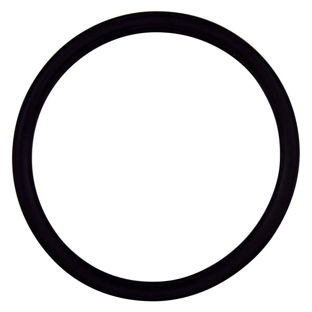 Pentair 355030Z Quad Seal Q4335O-Ring