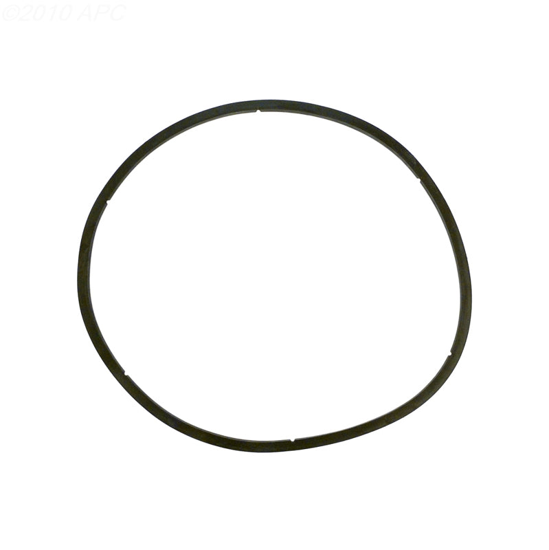 Pentair 350166Z EQ Series Strainer Lid Gasket