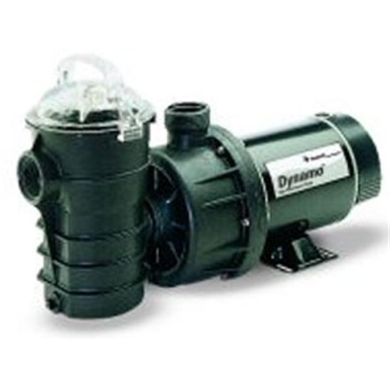 Pentair Dynamo 1 HP Abv-grnd Pool Pump