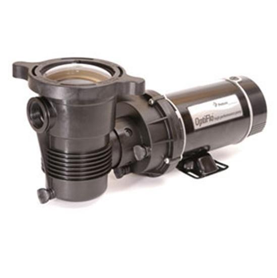 Pentair OptiFlo Above-ground Pool Pump 1 HP 2 Speed Horizontal Discharge