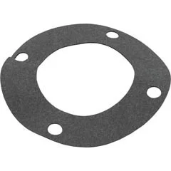 Pentair Pool Products Gasket, Pentair C-Series, Flange | 070943
