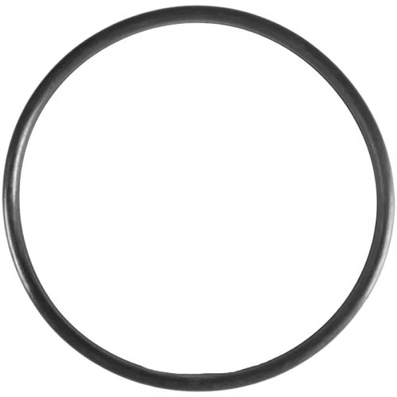 Pentair Pump Trap Lid O-Ring - Aladdin O-318 | 805-0436