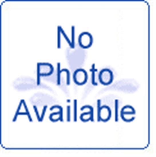 Polaris 280-380 Inline Filter Screen - 48222