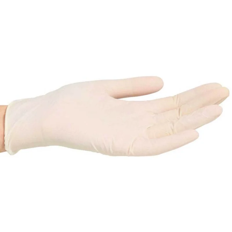 Powder-Free Latex Gloves - Large Size - 100 Count