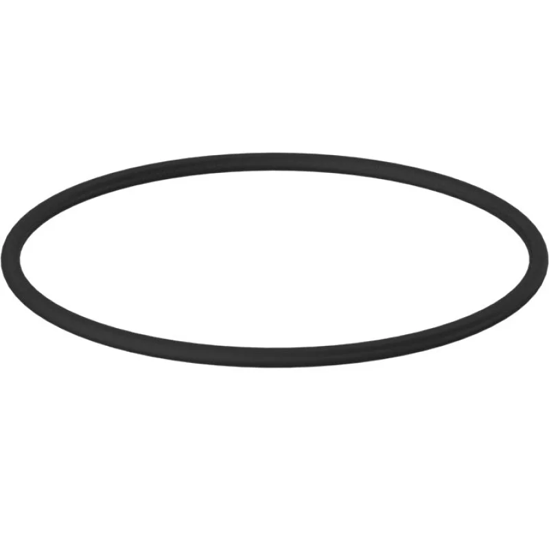Prefilter O-ring for 20 x 2.5 inch Whole House Systems