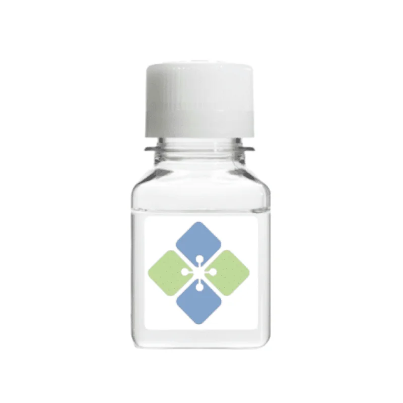 Rabbit Polyclonal AIMP2 Antibody (Human)