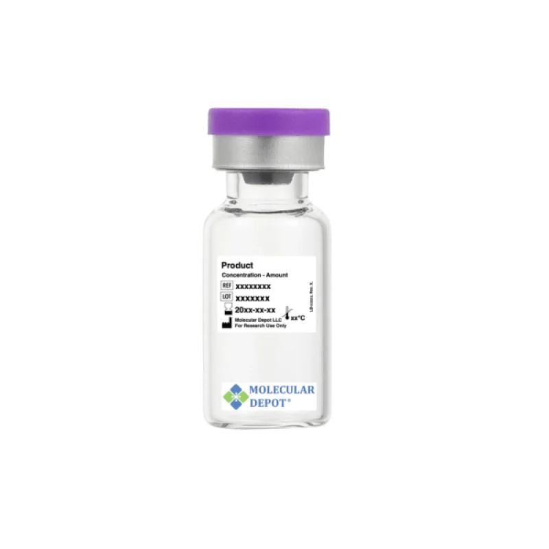 Rabbit Polyclonal Caspase-7 (Active/Cleaved) Antibody (Human, Mouse, Rat)
