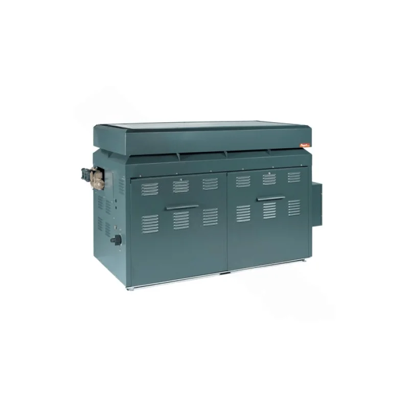 Raypak 001374 Raytherm P-926 Outdoor Natural Gas Heater 926K BTU