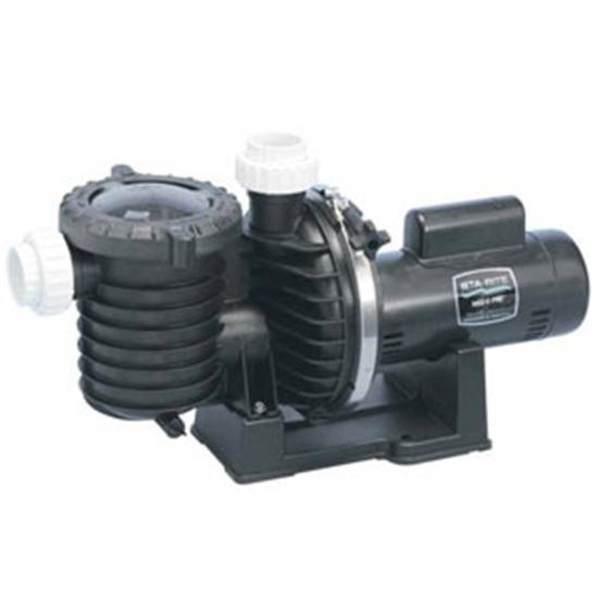 Sta-Rite 1 HP Max-e-Pro Uprated Pump