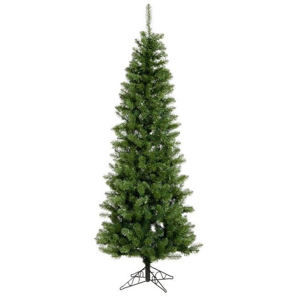 Vickerman Salem Pencil Pine 4.5' with 150 Clear Lights