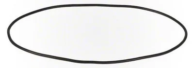 Waterway Viper Faceplate O-Ring 805-0263